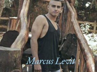 Marcus_Levit