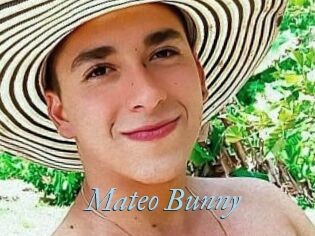 Mateo_Bunny