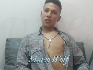 Mateo_Wolf