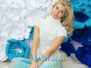 Meltwater