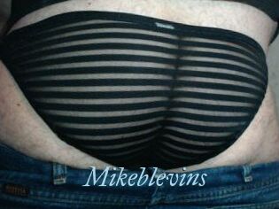 Mikeblevins