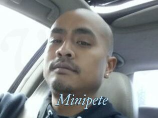 Minipete