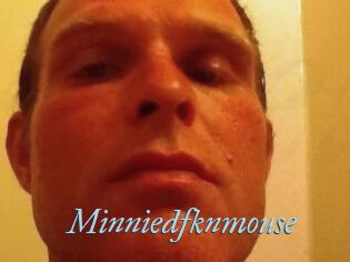 Minniedfknmouse