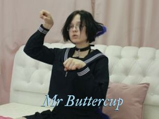 Mr_Buttercup