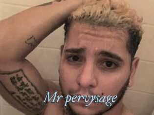 Mr_pervysage