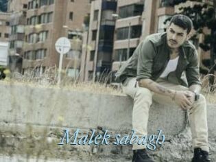 Malek_sabagh