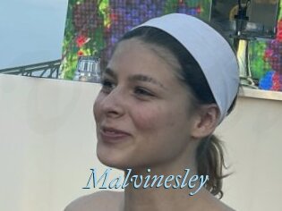 Malvinesley