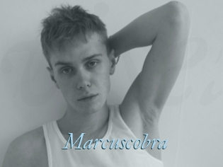 Marcuscobra