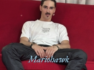 Mariohawk