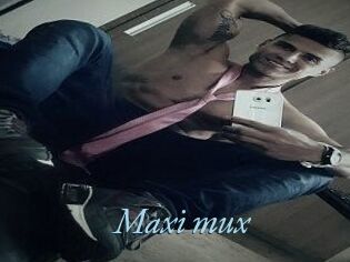 Maxi_mux