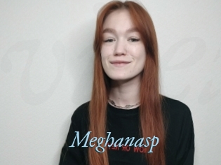 Meghanasp