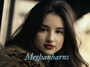 Meghanbarns