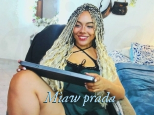 Miaw_prada