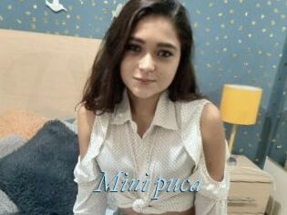 Mini_puca