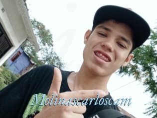 Molinascarloscam