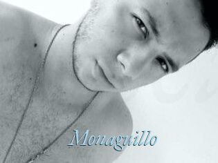 Monaguillo