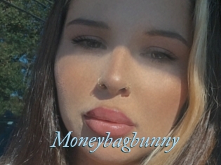 Moneybagbunny