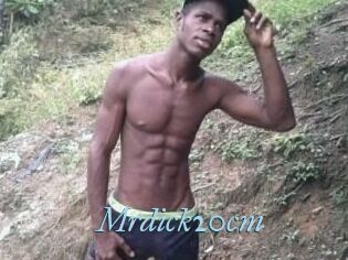 Mrdick20cm