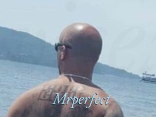 Mrperfect