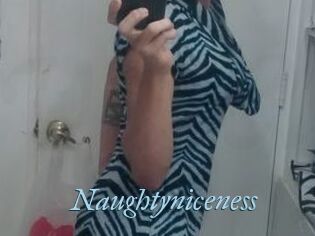 Naughtyniceness