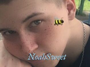 NoahSweet