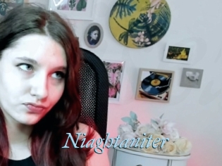 Niaghtaniter