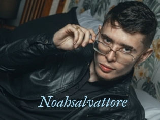 Noahsalvattore