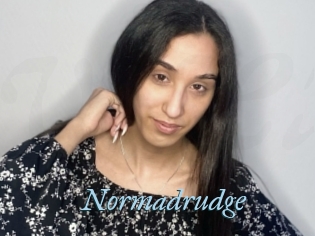 Normadrudge