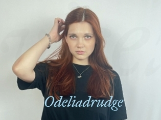 Odeliadrudge