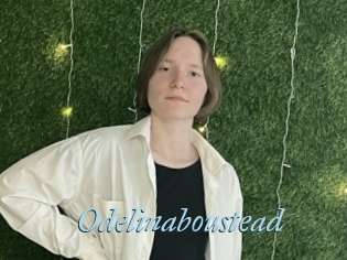 Odelinaboustead