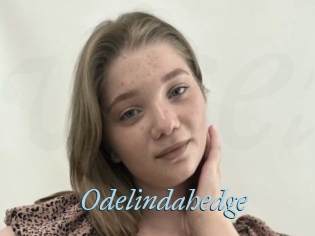Odelindahedge