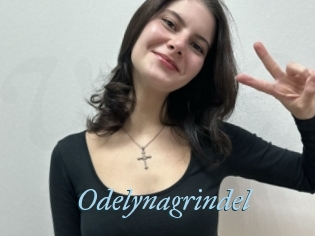Odelynagrindel