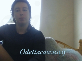 Odettacaecus19