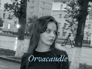 Orvacaudle