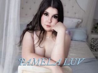 PAMELA_LUV