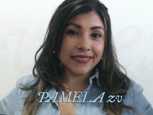 PAMELA_zv
