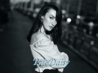 PaleDaisy