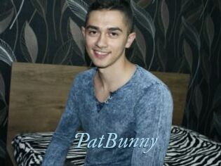 PatBunny
