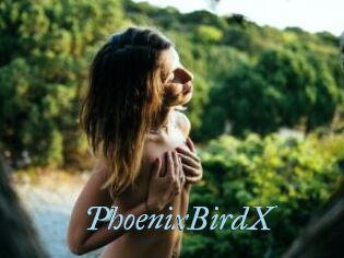 PhoenixBirdX