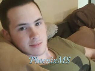 PhoenixMS