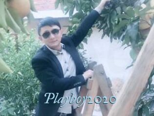 Playboy2020