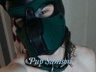 Pup_Samson