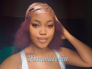 Pamelarein