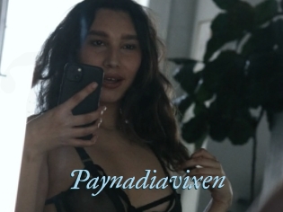 Paynadiavixen