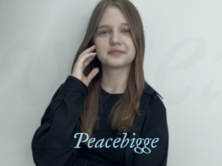 Peacebigge