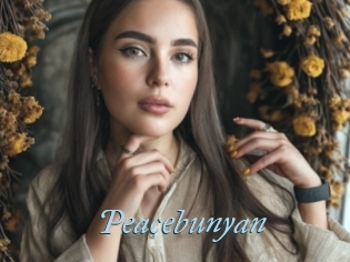Peacebunyan