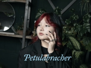 Petulabracher