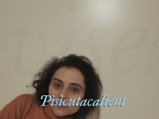 Pisicutacalient
