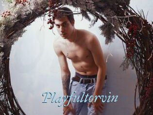 Playfultorvin
