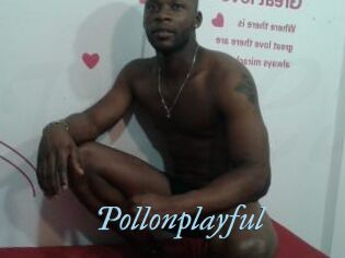 Pollonplayful